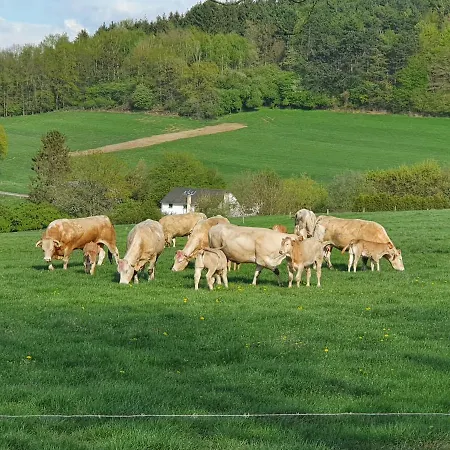 Vakantiehuis Nature * Durbuy