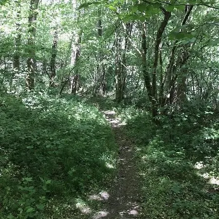 Vakantiehuis Nature